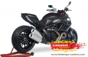 Ilmberger Ducati Diavel Spritzschutz hinten