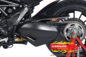 Ilmberger Ducati Diavel Schwingenschutz