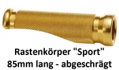 LSL Sport/Race Furasten-Kit (2 Stck) vorne BMW S1000RR -R