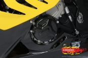 BMW S1000RR Lichtmaschinendeckel-Abdeckung Racing