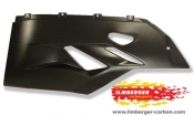 Ilmberger Carbon - Ducati 1199 Verkleidungsunterteil links