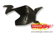 Ilmberger Carbon - Ducati 1199 Schwingenabdeckung