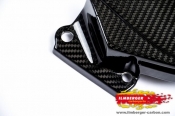 Ilmberger BMW S1000R Carbon-Ritzelabdeckung