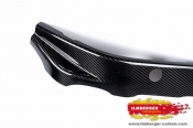 Ilmberger BMW S1000R - Rahmenabdeckung links Carbon