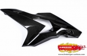 Ilmberger BMW S1000R - Verkleidungsseitenteil links Carbon