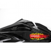 Ilmberger Verkleidungsseitenteil rechts BMW S1000RR 2015