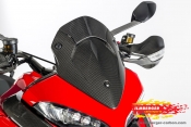Ilmberger-Carbon Windschild glanz Ducati MTS 1200 DVT