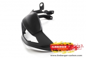 Ilmberger-Carbon Handprotektor links Ducati MTS 1200DVT matt