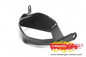 Ilmberger-Carbon Handprotektor links Ducati MTS 1200DVT glanz