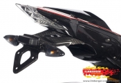 Ilmberger BMW S1000RR Carbon-Kennzeichentrger