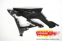 Ilmberger Carbon Wasserkhlerverkleidung links (BMW S1000 XR)