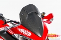 Ilmberger-Carbon Windschild matt Ducati MTS 1200 DVT
