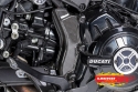 ILMBERGER-Carbon Kabelbaumabdeckung glanz - Ducati XDiavel