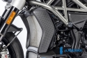 ILMBERGER Wasserkhlerabdeckung 3tlg. matt - Ducati XDiavel