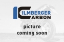 Ilmberger Carbon Windkanalabdeckung links matt Ducati Panigale