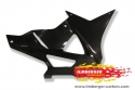 BMW S1000RR Verkleidungsunterteil / Motorspoiler rechts